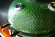 Керамический гриль SG с окошком, 57 см / 22 дюйма (зеленый) (Start Grill) в Кургане
